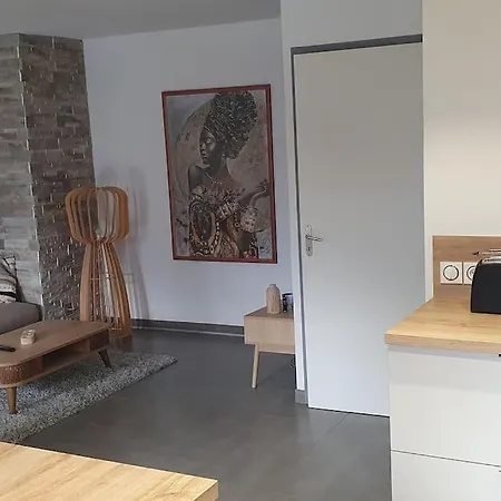 Logement Entier De Plain-Pied Epagny Metz-Tessy Exterior photo